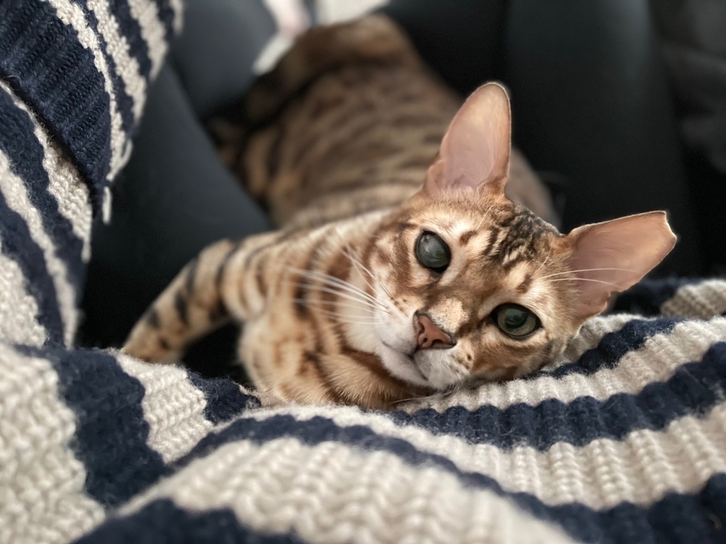 포스티 배너
포스티