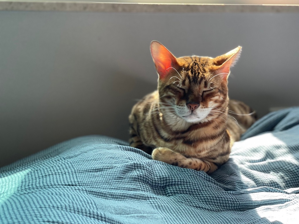 포스티 
상품배너